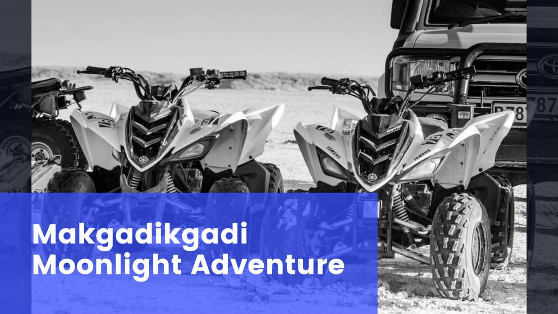 Makgadikgadi Moonlight Adventure