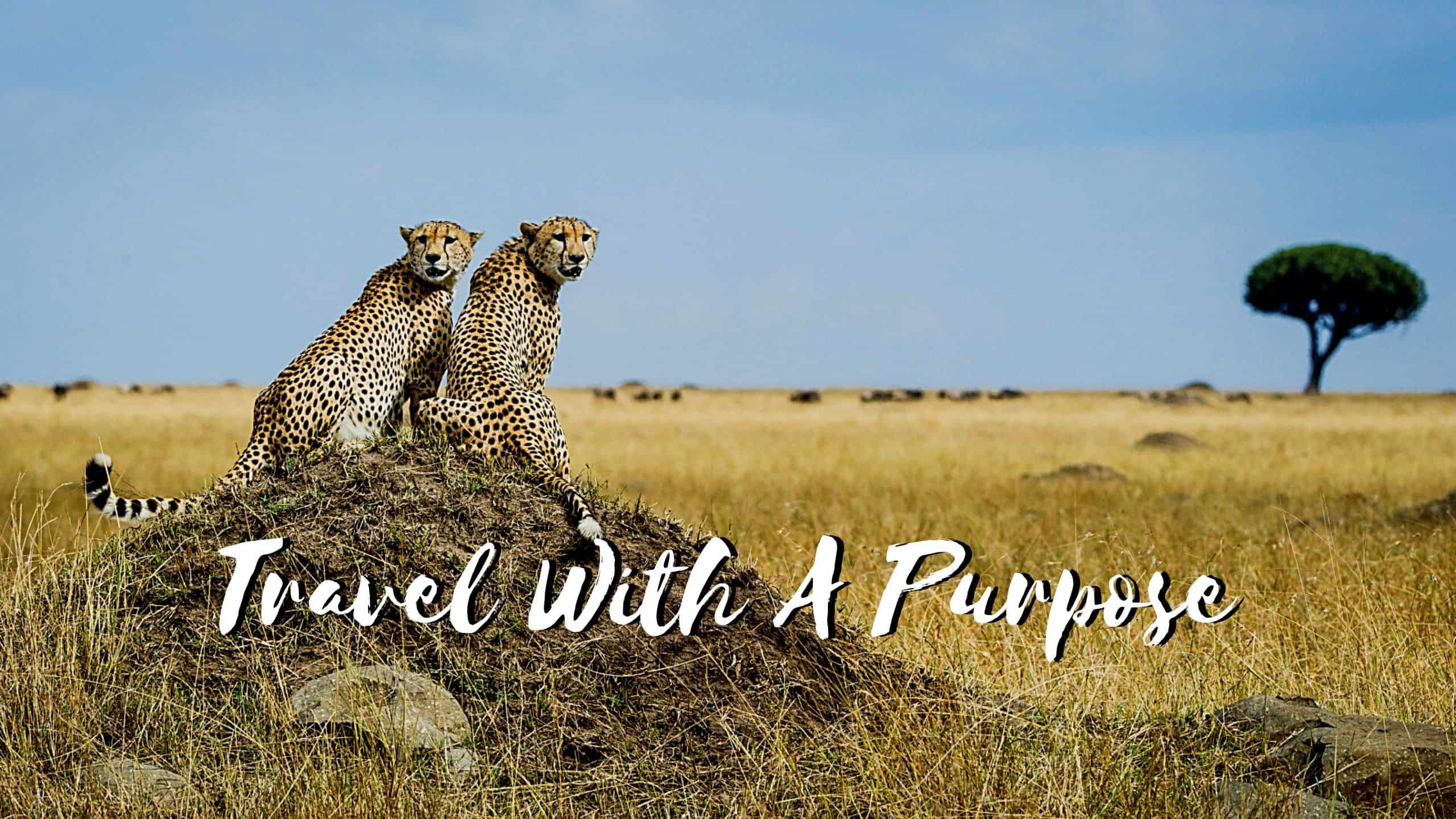 Travel With A Purpose