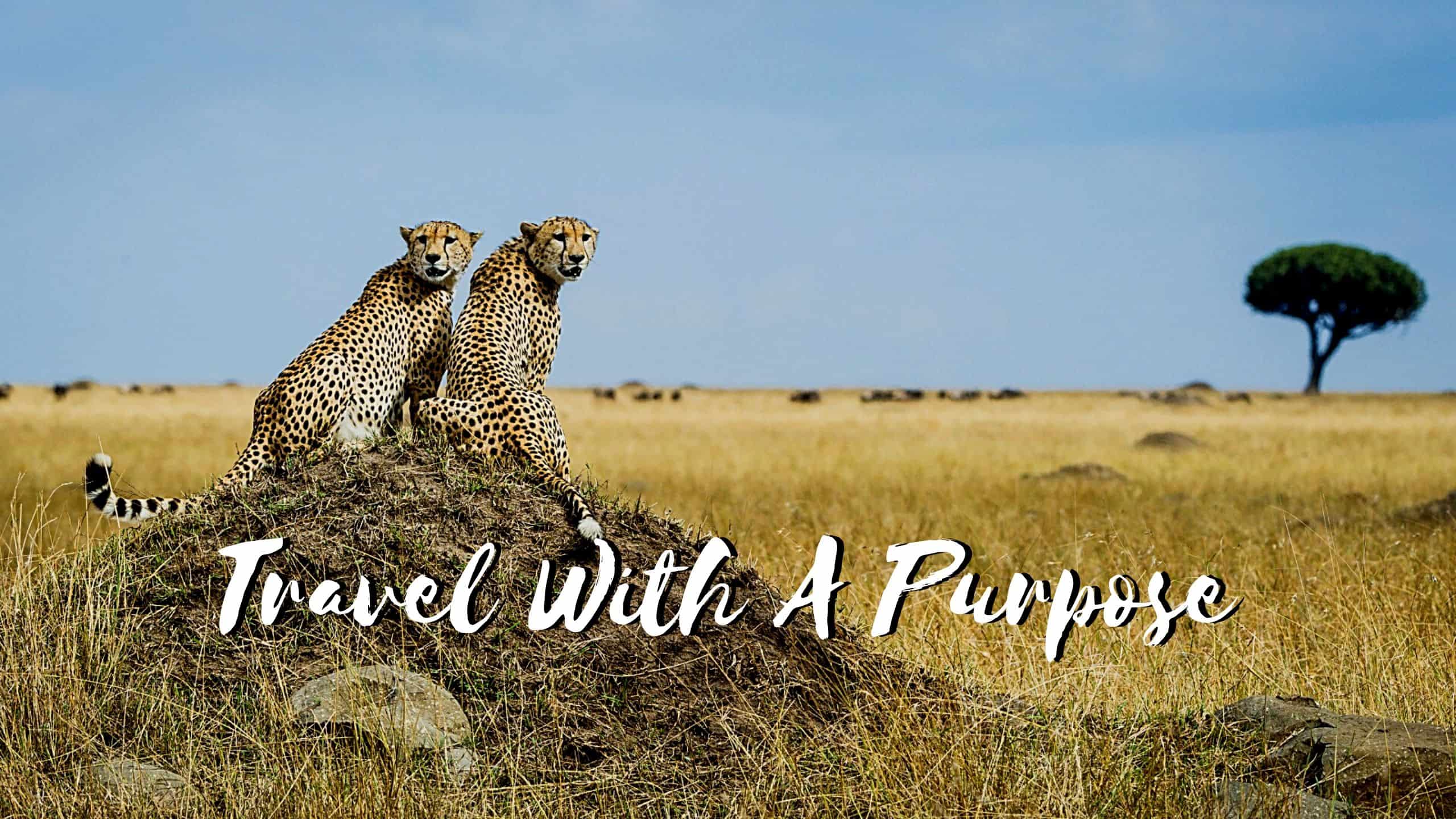 What Is The Purpose Of Travel Blog