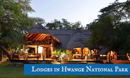 Lodges in Hwange National Park