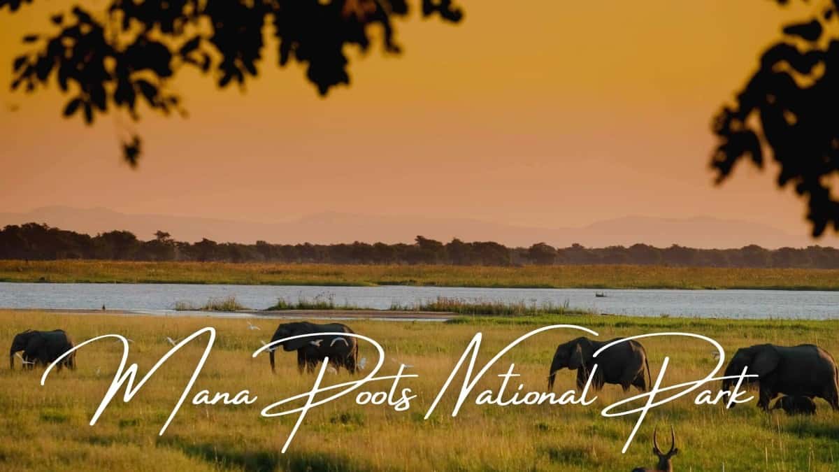 Mana Pools National Park Zimbabwe