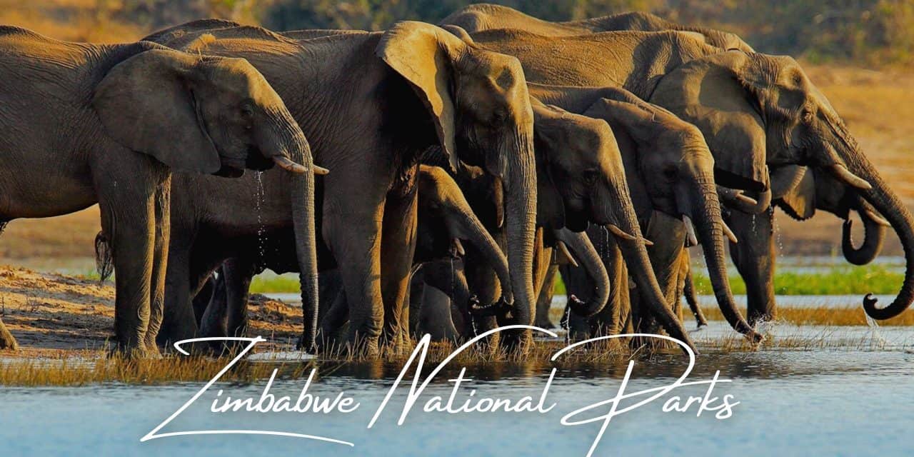 Zimbabwe National Parks