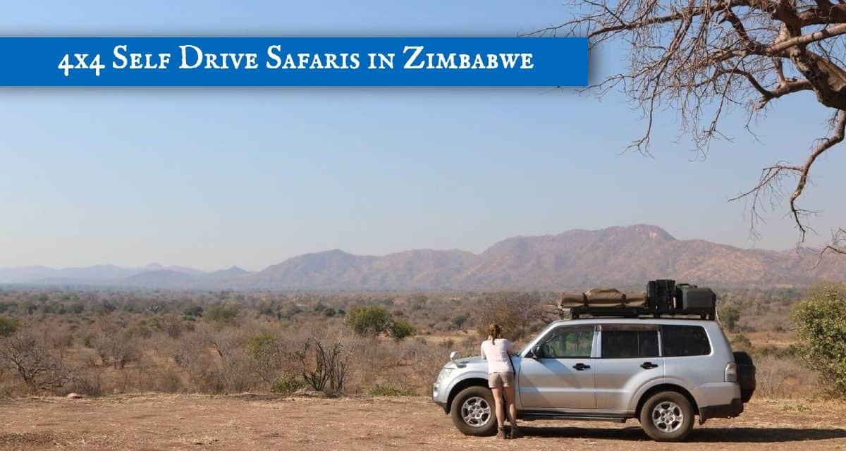 Self Drive Zimbabwe