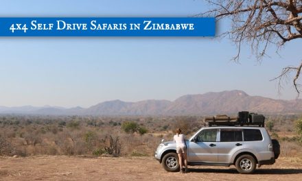 Self Drive Zimbabwe