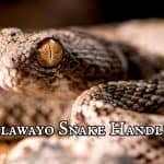 Bulawayo Snake Handlers