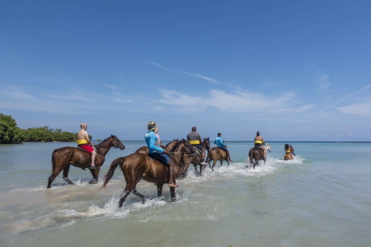 Group of riders swimming with horses