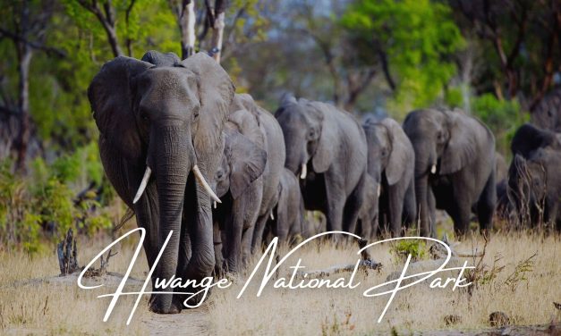 Hwange National Park